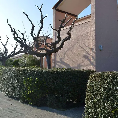Apartment T2 Avec Piscine, Proche Plage, Terrasse Et Parking Prive A Saint-cyprien - Fr-1-225d-14